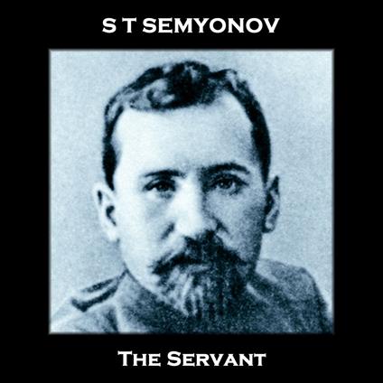 Servant, The