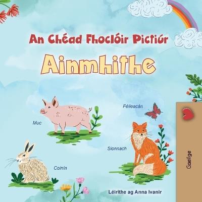 First Picture Dictionary - Animals (Irish Children's Book) - Kidkiddos Books - cover