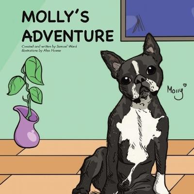 Molly's Adventure - Samuel Ward - cover