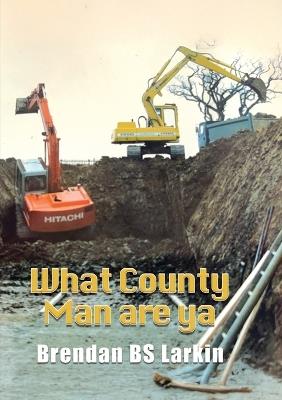 What County Man are Ya - Brendan Bs Larkin - cover