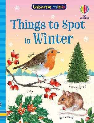 Things to Spot in Winter - Simon Tudhope - cover