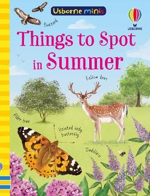 Things to Spot in Summer - Kate Nolan,Lara Bryan - cover