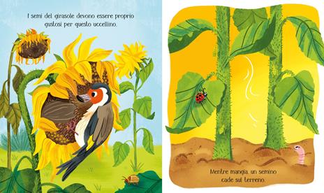 Il fiore. Ediz. illustrata - Lesley Sims - 2