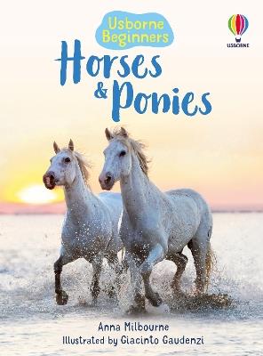 Horses and Ponies - Anna Milbourne - cover