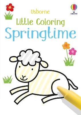 Little Coloring Springtime - Matthew Oldham - cover