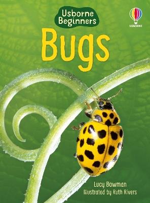 Bugs - Lucy Bowman - cover