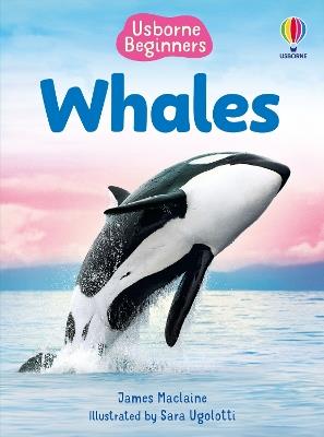 Beginners Whales - James Maclaine - cover