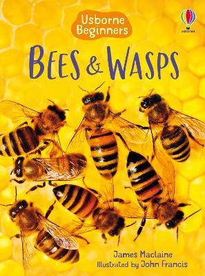 Bees and Wasps - James Maclaine - cover