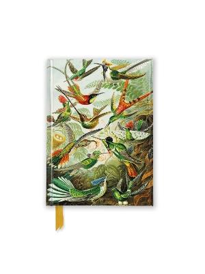 Ernst Haeckel: Hummingbirds (Foiled Pocket Journal) - cover