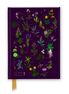 Anna Stead: For Spells & Potions (Foiled Journal) - cover