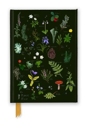 Anna Stead: The Forest Floor (Foiled Journal) - cover