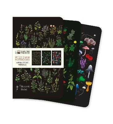 Anna Stead: Herbals Set of 3 Mini Notebooks - cover
