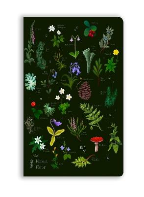 Anna Stead: The Forest Floor (Soft Touch Journal) - cover