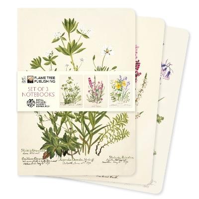 Royal Botanic Gardens Edinburgh Set of 3 Standard Notebooks - cover
