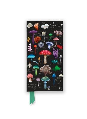 Anna Stead: Mushrooms & Fungi (Foiled Slimline Journal) - cover
