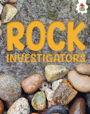 Rock Investigators - Rebecca Storm - cover