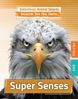 Super Senses - Anne O'Daly - cover