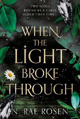When the Light Broke Through - N. Rae Rosen - cover