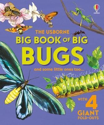 Big Book of Big Bugs - Emily Bone - cover