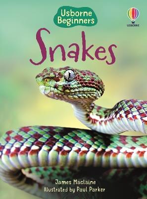 Snakes (Usborne Beginners) - James Maclaine - cover