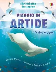 Viaggio In Artide-image