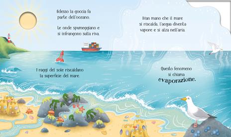 L'acqua. Il ciclo della vita. Ediz. a colori - Lesley Sims - 2