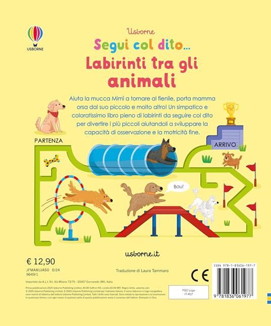 Labirinti tra gli animali. Ediz. illustrata - Felicity Brooks - 2