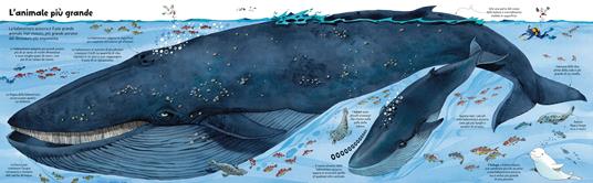 Il grande libro degli animali. Ediz. a colori - Hazel Maskell - 2