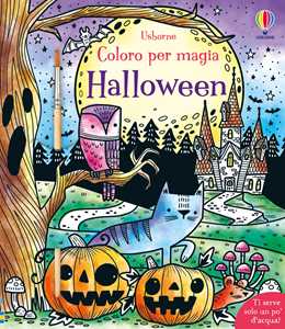 Libro Halloween. Ediz. a colori. Con pennello Fiona Watt