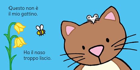 Dov'è il mio gattino? Ediz. a colori - Fiona Watt - 2