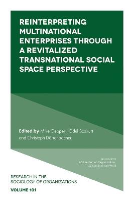 Reinterpreting Multinational Enterprises through a Revitalized Transnational Social Space Perspective - cover