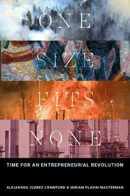One Size Fits None: Time for an Entrepreneurial Revolution - Miriam Plavin-Masterman,Alejandro Juárez Crawford - cover