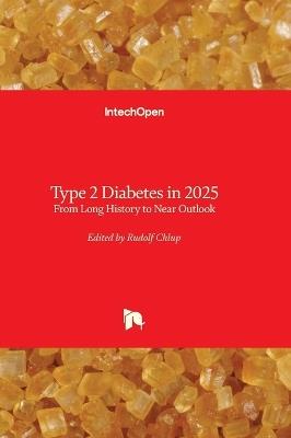 Type 2 Diabetes in 2025 - From Long History to Near Outlook: From Long History to Near Outlook - cover