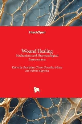 Wound Healing - Mechanisms and Pharmacological Interventions: Mechanisms and Pharmacological Interventions - cover
