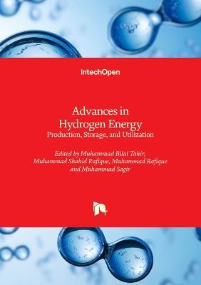 Advances in Hydrogen Energy - Production, Storage, and Utilization: Production, Storage, and Utilization - cover