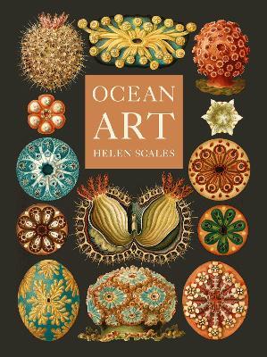 Ocean Art: From the Shore to the Deep - Helen Scales - cover