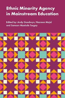 Ethnic Minority Agency in Mainstream Education: A Regional Perspective on a National Challenge - cover