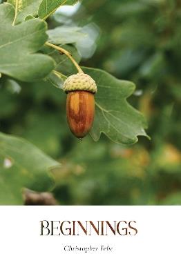 Beginnings - Christopher Fehr - cover