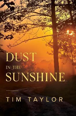 Dust in the Sunshine - Tim Taylor - cover