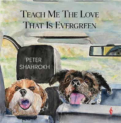 Teach Me the Love that Is Evergreen - Peter Shahrokh - cover