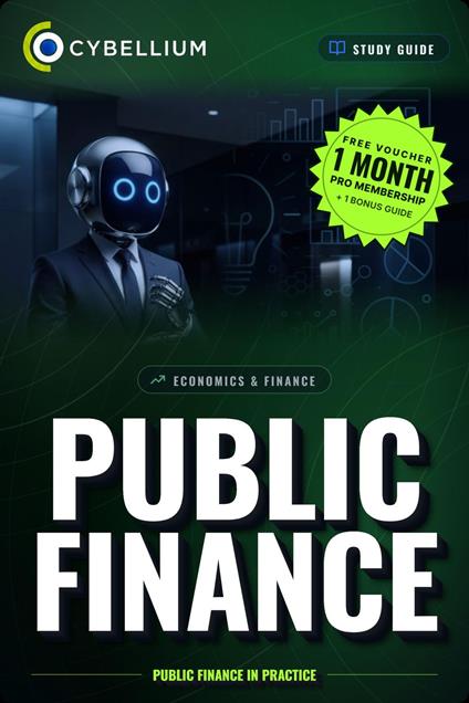 Public Finance