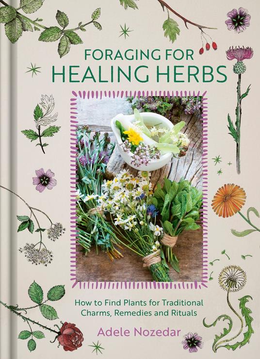 Foraging for Healing Herbs