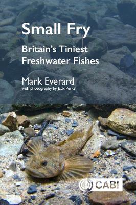 Small Fry: Britain's Tiniest Freshwater Fishes - Mark Everard - cover