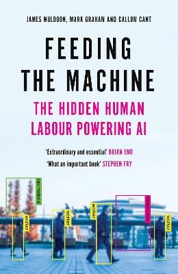 Feeding the Machine: The Hidden Human Labour Powering AI - James Muldoon,Mark Graham,Callum Cant - cover