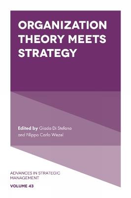 Organization Theory Meets Strategy - cover