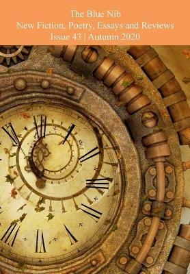 The Blue Nib Literary Magazine Issue 43: Issue 43 - cover