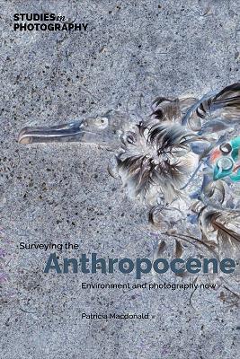 Surveying the Anthropocene:: Environment and Photography Now - cover