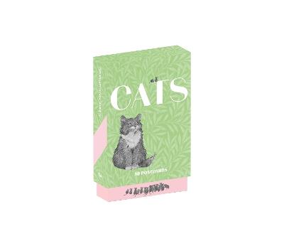 Cats of the V&A: 50 Postcards - cover