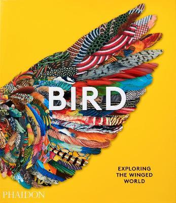Bird. Ediz. a colori - copertina