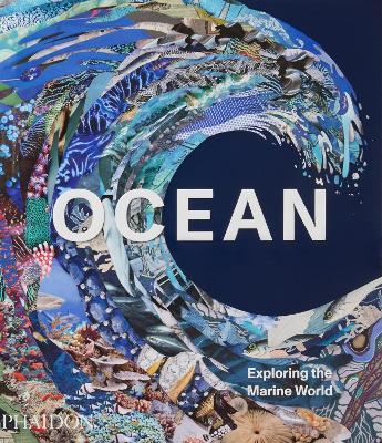 Ocean. Exploring the marine world. Ediz. a colori - copertina